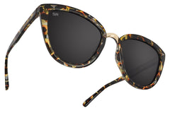 Multi Color Tortoise